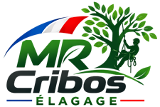 elagage-mr-cribos-elagage